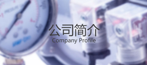 企業(yè)簡介